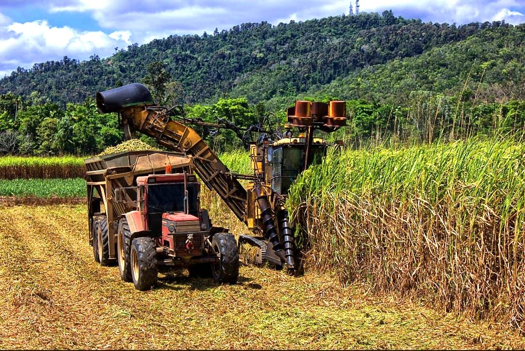 Farming 1